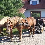 Sloneczne Siedlisko * Wąglikowice