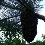 Accommodatie bij particulieren Sloneczne Siedlisko *