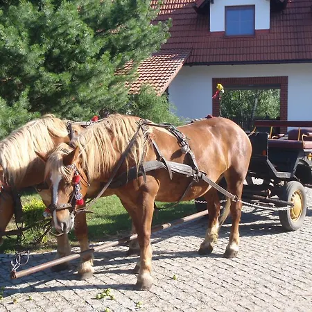 Słoneczne Siedlisko * Wąglikowice