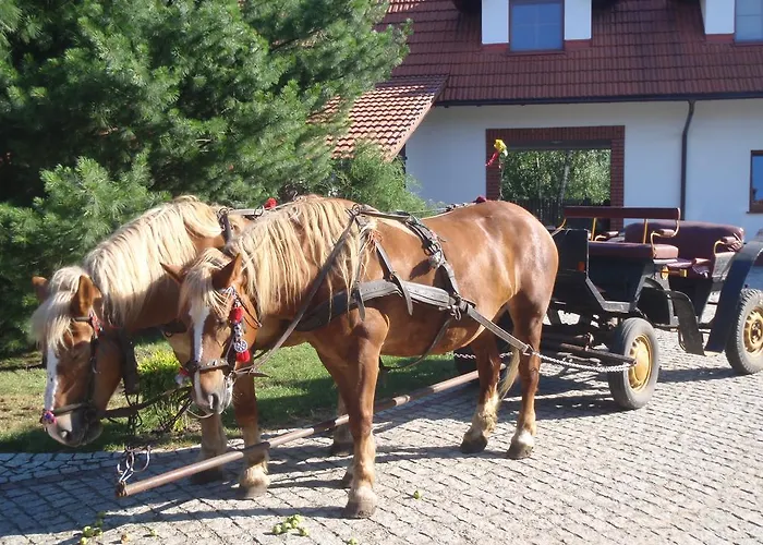 Sloneczne Siedlisko * Wąglikowice