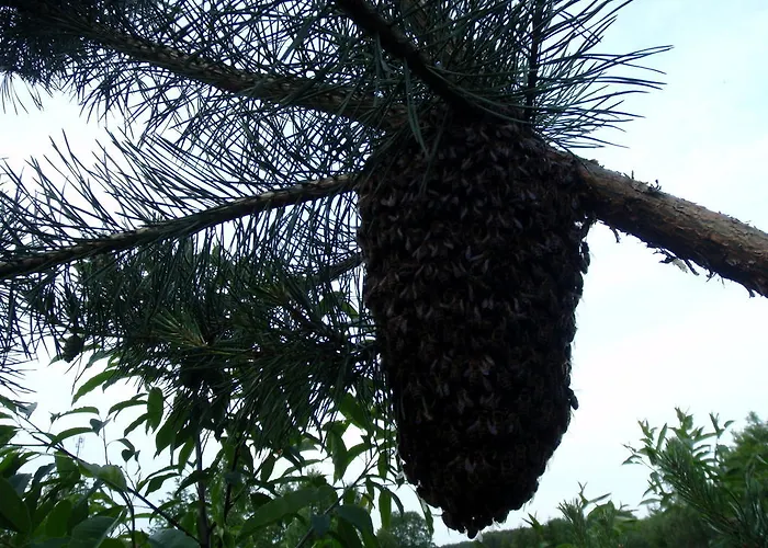 Kwatera prywatna Sloneczne Siedlisko *